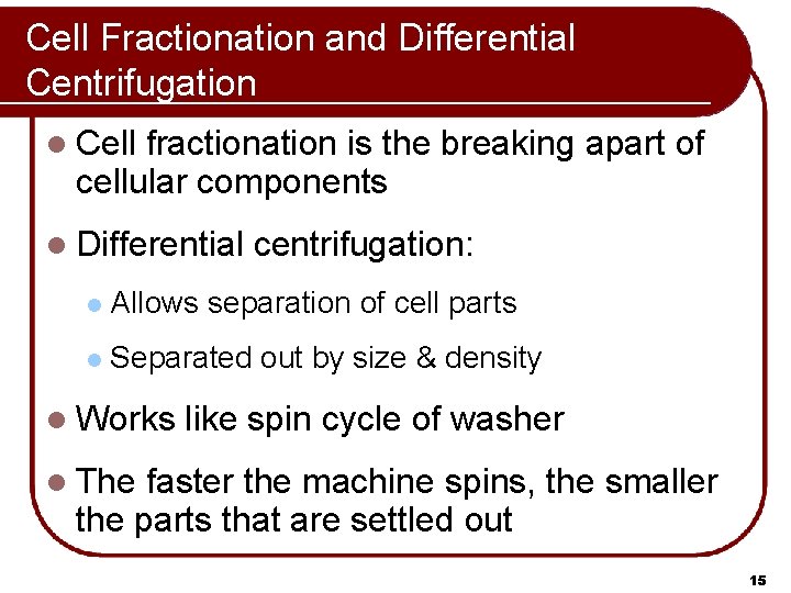 Cell Fractionation and Differential Centrifugation l Cell fractionation is the breaking apart of cellular