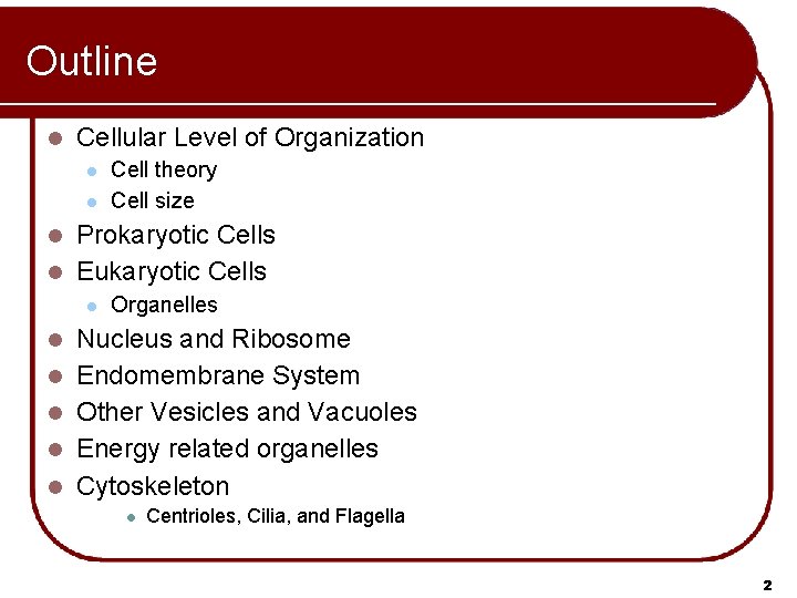 Outline l Cellular Level of Organization l l Cell theory Cell size Prokaryotic Cells
