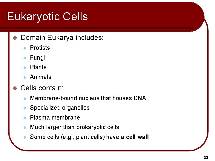 Eukaryotic Cells l l Domain Eukarya includes: l Protists l Fungi l Plants l