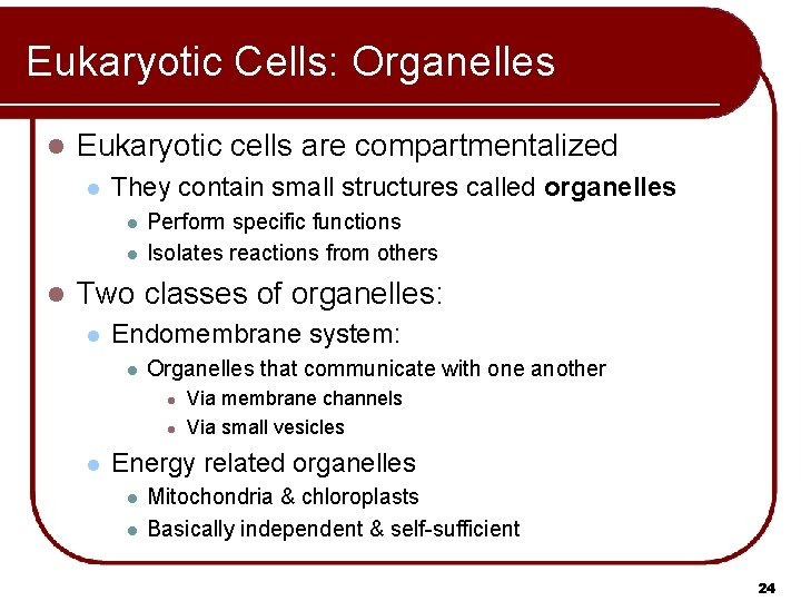 Eukaryotic Cells: Organelles l Eukaryotic cells are compartmentalized l They contain small structures called
