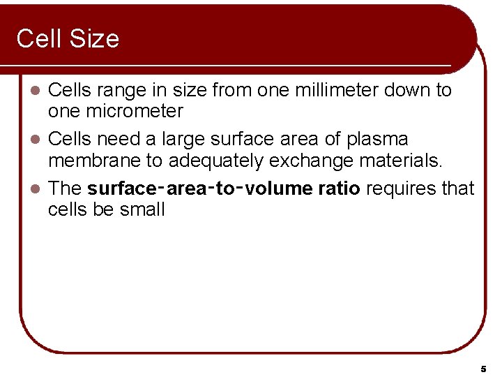 Cell Size Cells range in size from one millimeter down to one micrometer l