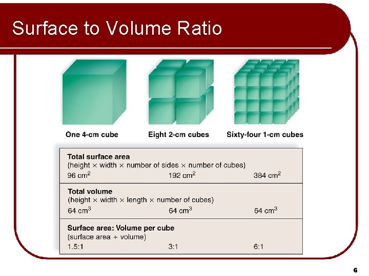 Surface to Volume Ratio 6 