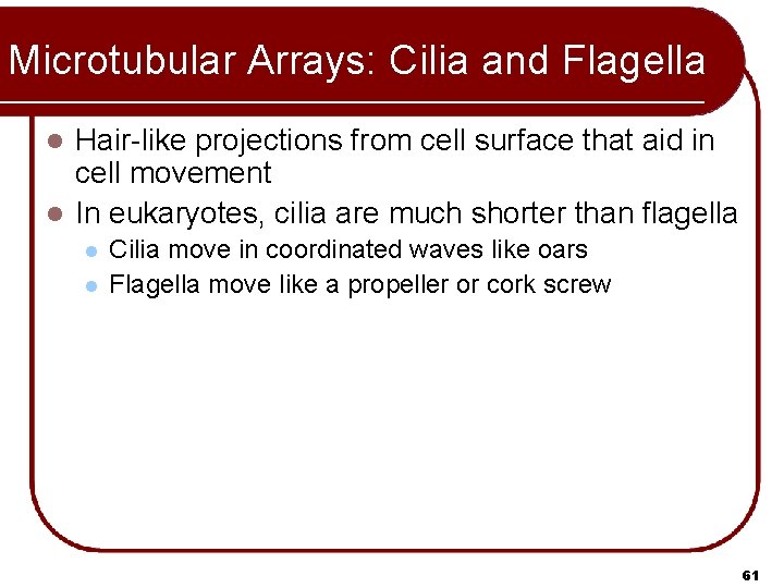 Microtubular Arrays: Cilia and Flagella Hair-like projections from cell surface that aid in cell