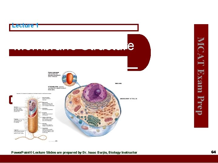 Lecture 1 Power. Point® Lecture Slides are prepared by Dr. Isaac Barjis, Biology Instructor