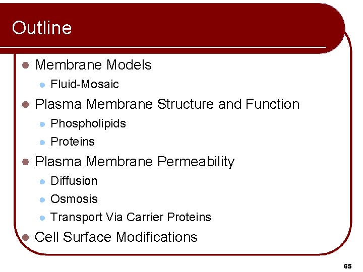 Outline l Membrane Models l l Plasma Membrane Structure and Function l l l