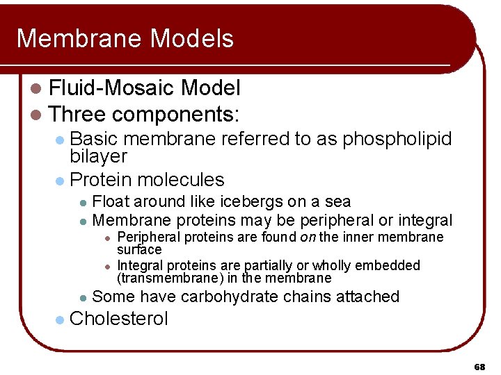 Membrane Models l Fluid-Mosaic Model l Three components: Basic membrane referred to as phospholipid