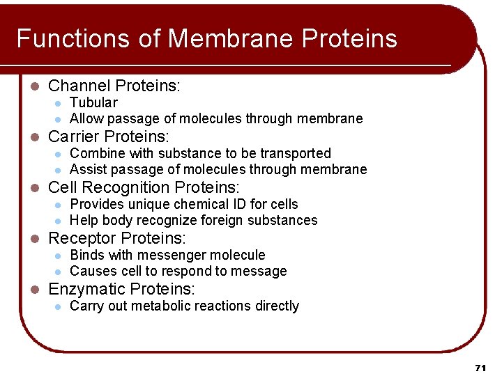 Functions of Membrane Proteins l Channel Proteins: l l l Carrier Proteins: l l