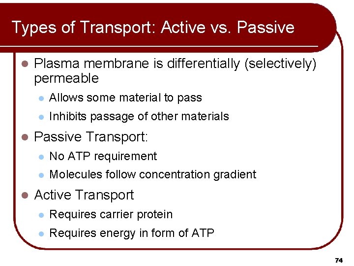 Types of Transport: Active vs. Passive l l l Plasma membrane is differentially (selectively)