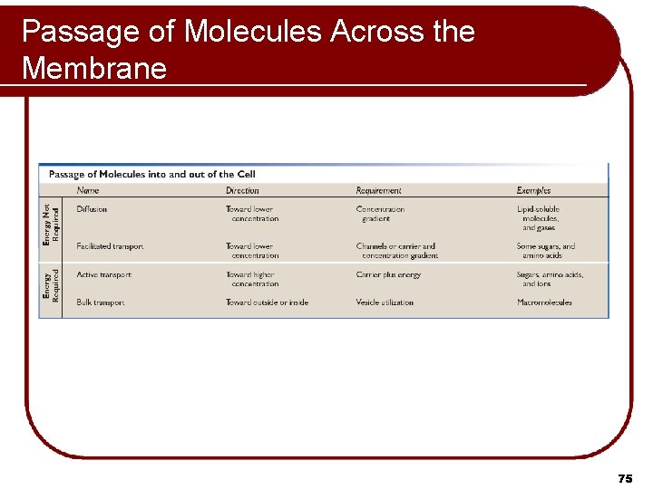 Passage of Molecules Across the Membrane 75 