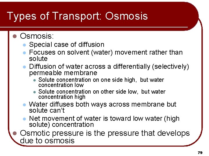 Types of Transport: Osmosis l Osmosis: l l l Special case of diffusion Focuses