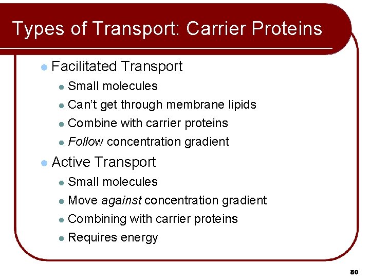 Types of Transport: Carrier Proteins l Facilitated Transport Small molecules l Can’t get through