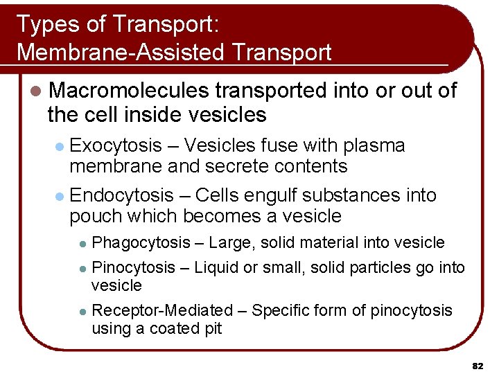Types of Transport: Membrane-Assisted Transport l Macromolecules transported into or out of the cell