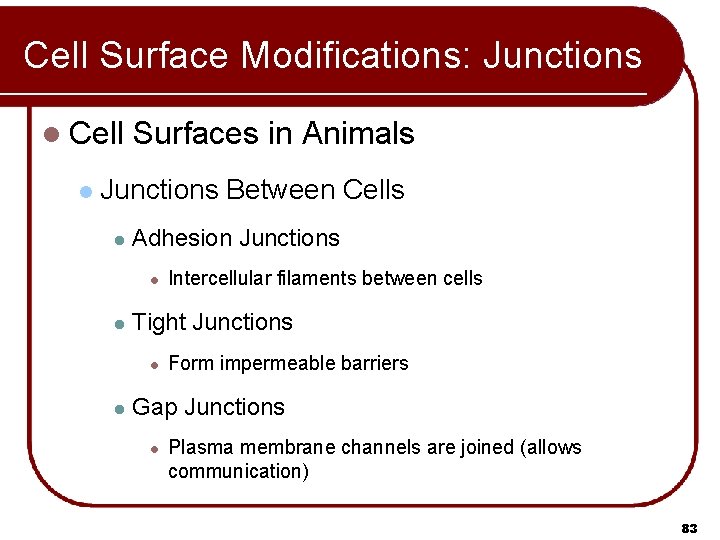 Cell Surface Modifications: Junctions l Cell l Surfaces in Animals Junctions Between Cells l