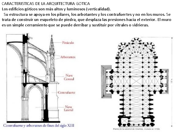 CARACTERISTICAS DE LA ARQUITECTURA GOTICA Los edificios góticos son más altos y luminosos (verticalidad).