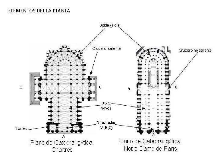 ELEMENTOS DEL LA PLANTA 