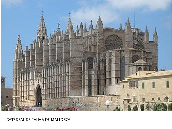 CATEDRAL DE PALMA DE MALLORCA 