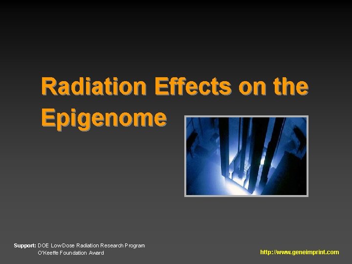 Radiation Effects on the Epigenome Support: DOE Low Dose Radiation Research Program O’Keeffe Foundation