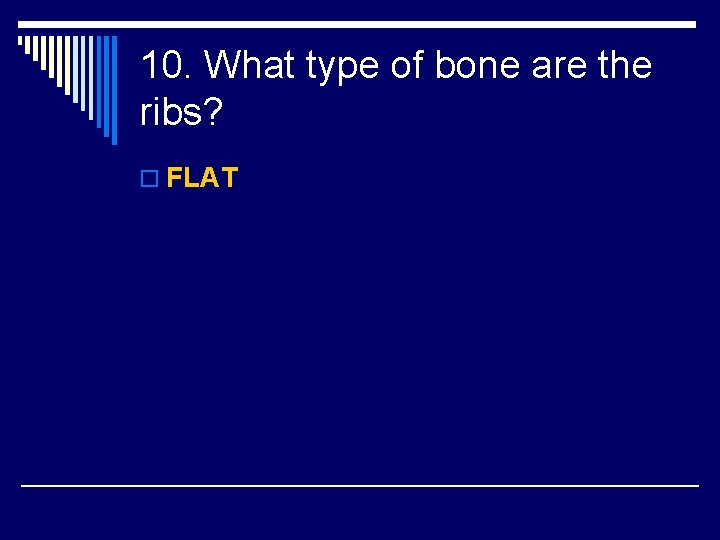 10. What type of bone are the ribs? o FLAT 