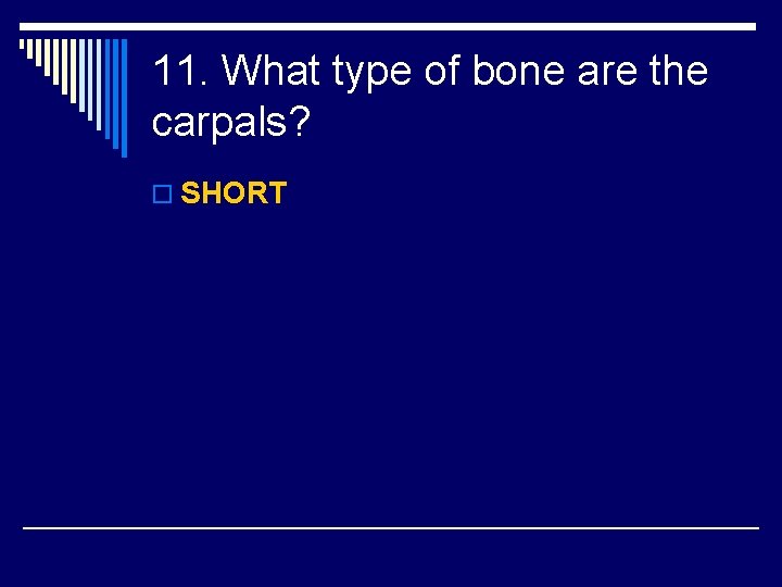 11. What type of bone are the carpals? o SHORT 