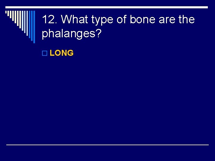 12. What type of bone are the phalanges? o LONG 