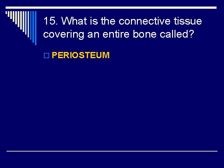 15. What is the connective tissue covering an entire bone called? o PERIOSTEUM 