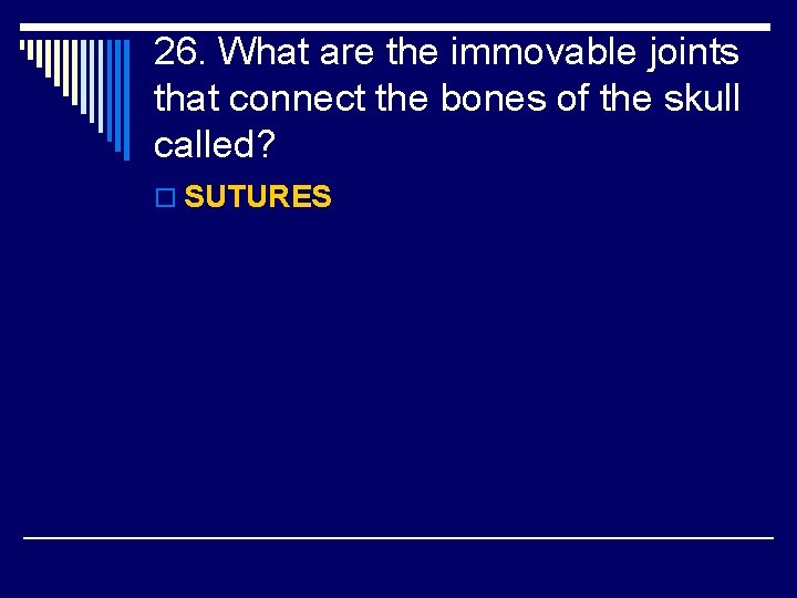 26. What are the immovable joints that connect the bones of the skull called?