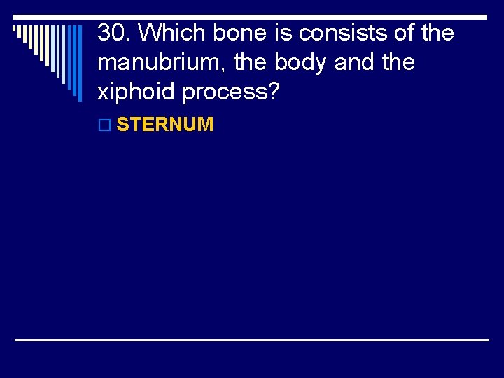 30. Which bone is consists of the manubrium, the body and the xiphoid process?