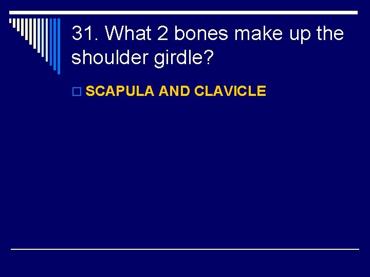 31. What 2 bones make up the shoulder girdle? o SCAPULA AND CLAVICLE 
