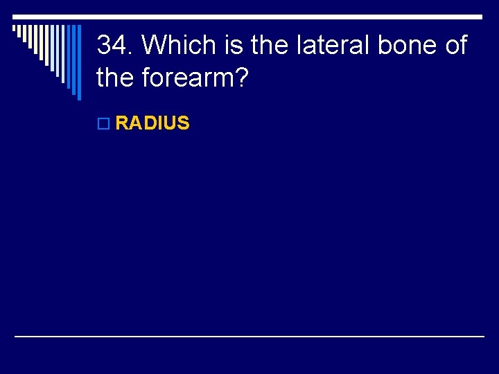 34. Which is the lateral bone of the forearm? o RADIUS 