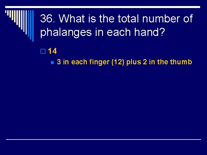 36. What is the total number of phalanges in each hand? o 14 n