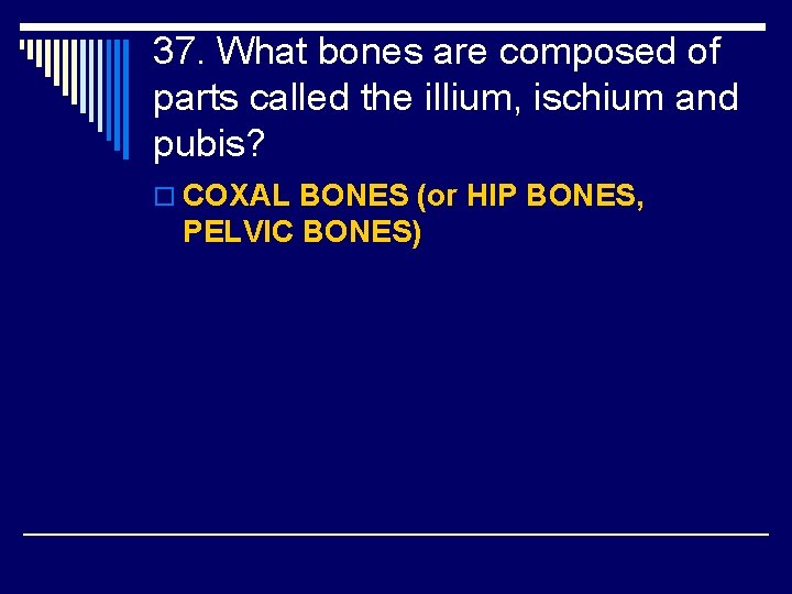 37. What bones are composed of parts called the illium, ischium and pubis? o