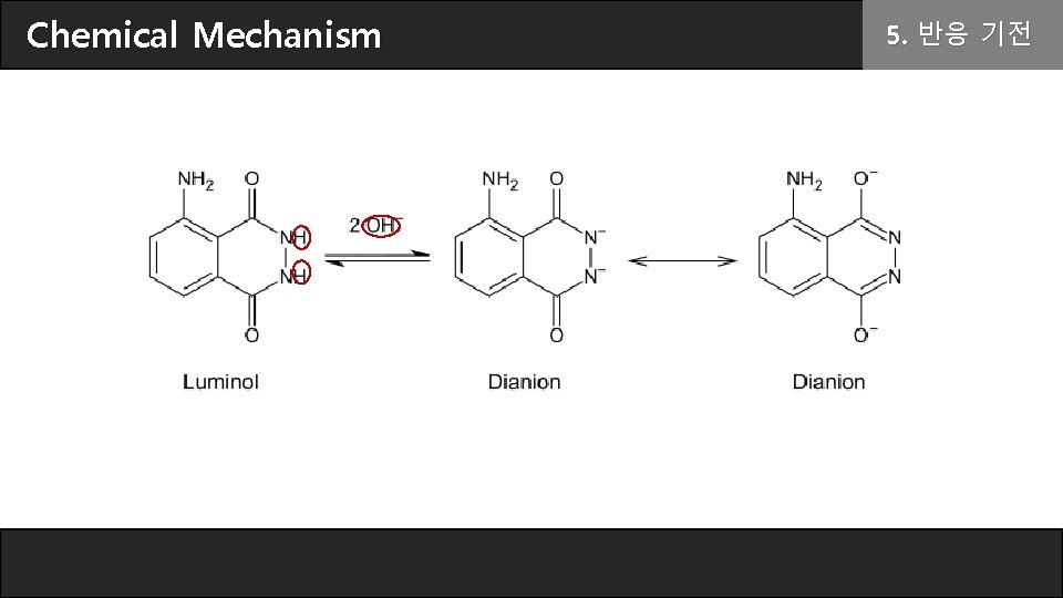 Chemical Mechanism 5. 반응 기전 