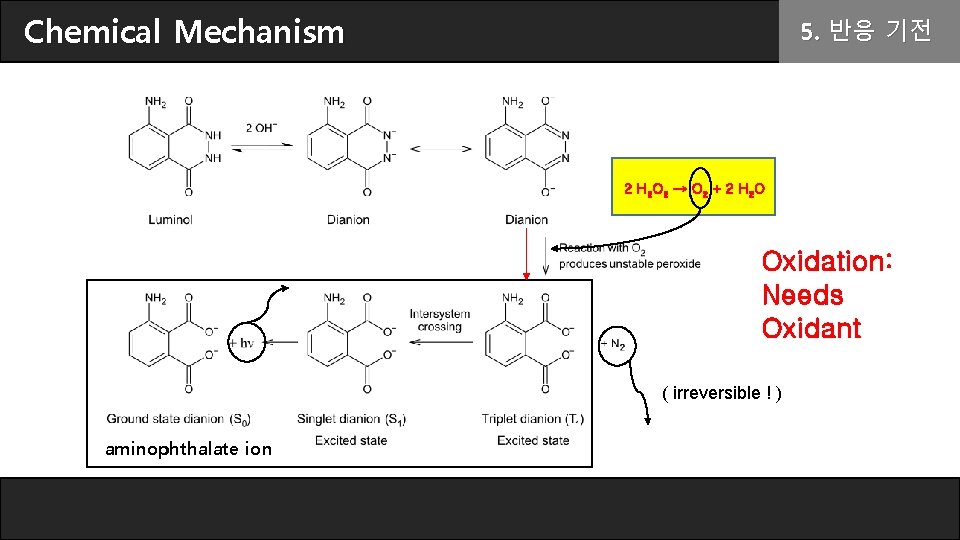 Chemical Mechanism 5. 반응 기전 2 H 2 O 2 → O 2 +