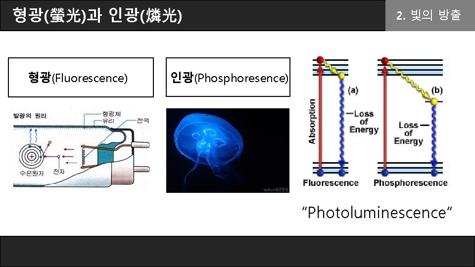 형광(螢光)과 인광(燐光) 형광(Fluorescence) 2. 빛의 방출 인광(Phosphoresence) “Photoluminescence“ 