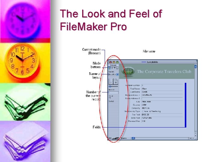 The Look and Feel of File. Maker Pro The Look and Feel of File. Maker Pro