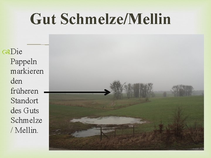 Gut Schmelze/Mellin Die Pappeln markieren den früheren Standort des Guts Schmelze / Mellin. 