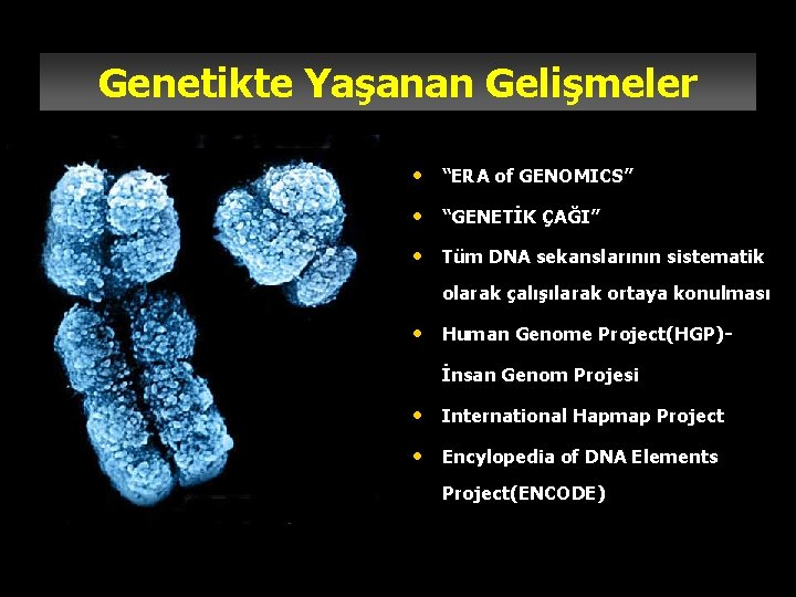 Genetikte Yaşanan Gelişmeler • “ERA of GENOMICS” • “GENETİK ÇAĞI” • Tüm DNA sekanslarının