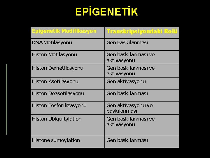 EPİGENETİK Epigenetik Modifikasyon Transkripsiyondaki Rolü DNA Metilasyonu Gen Baskılanması Histon Metilasyonu Gen baskılanması ve