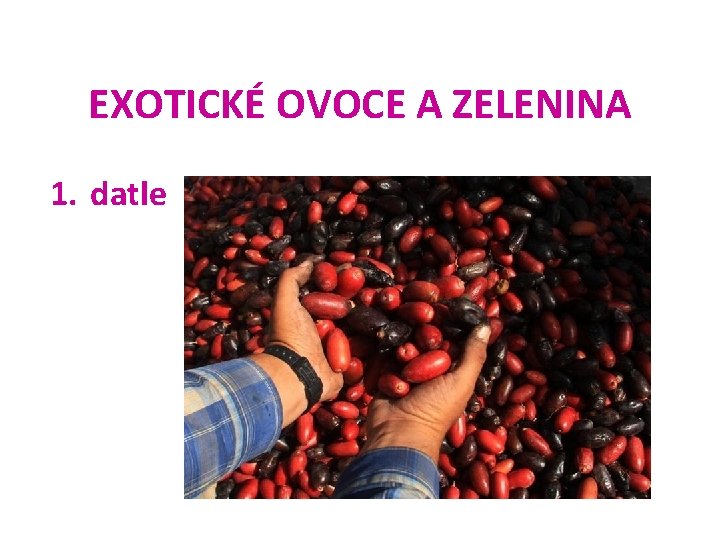 EXOTICKÉ OVOCE A ZELENINA 1. datle 