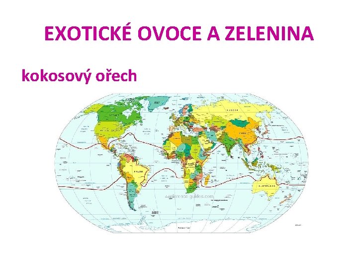 EXOTICKÉ OVOCE A ZELENINA kokosový ořech 