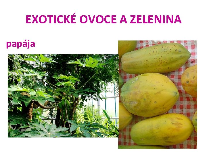 EXOTICKÉ OVOCE A ZELENINA papája 