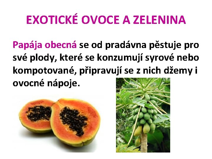EXOTICKÉ OVOCE A ZELENINA Papája obecná se od pradávna pěstuje pro své plody, které