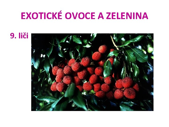 EXOTICKÉ OVOCE A ZELENINA 9. liči 