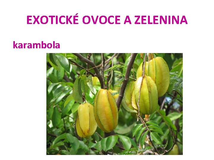EXOTICKÉ OVOCE A ZELENINA karambola 