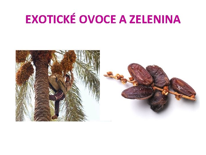 EXOTICKÉ OVOCE A ZELENINA 