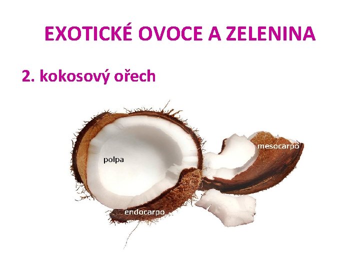EXOTICKÉ OVOCE A ZELENINA 2. kokosový ořech 