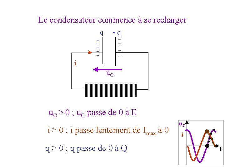 Le condensateur commence à se recharger q -q _ _ _ + + +