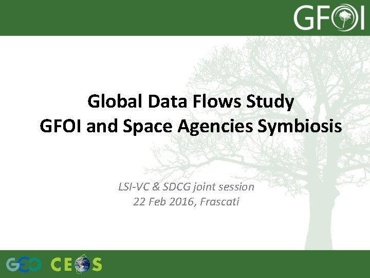 Global Data Flows Study GFOI and Space Agencies Symbiosis LSI-VC & SDCG joint session