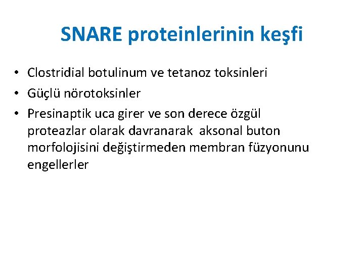 SNARE proteinlerinin keşfi • Clostridial botulinum ve tetanoz toksinleri • Güçlü nörotoksinler • Presinaptik