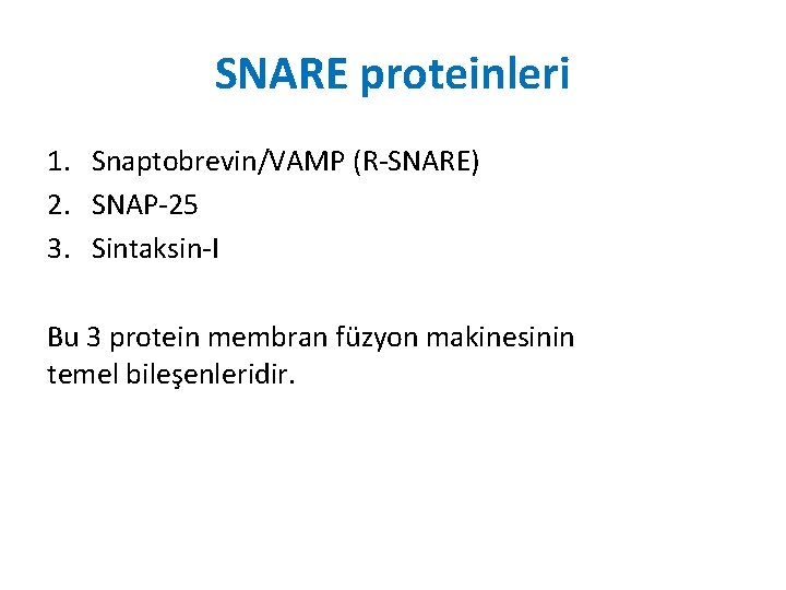 SNARE proteinleri 1. Snaptobrevin/VAMP (R-SNARE) 2. SNAP-25 3. Sintaksin-I Bu 3 protein membran füzyon